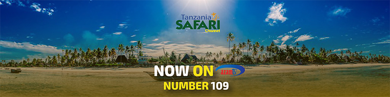tanzania safari channel live online
